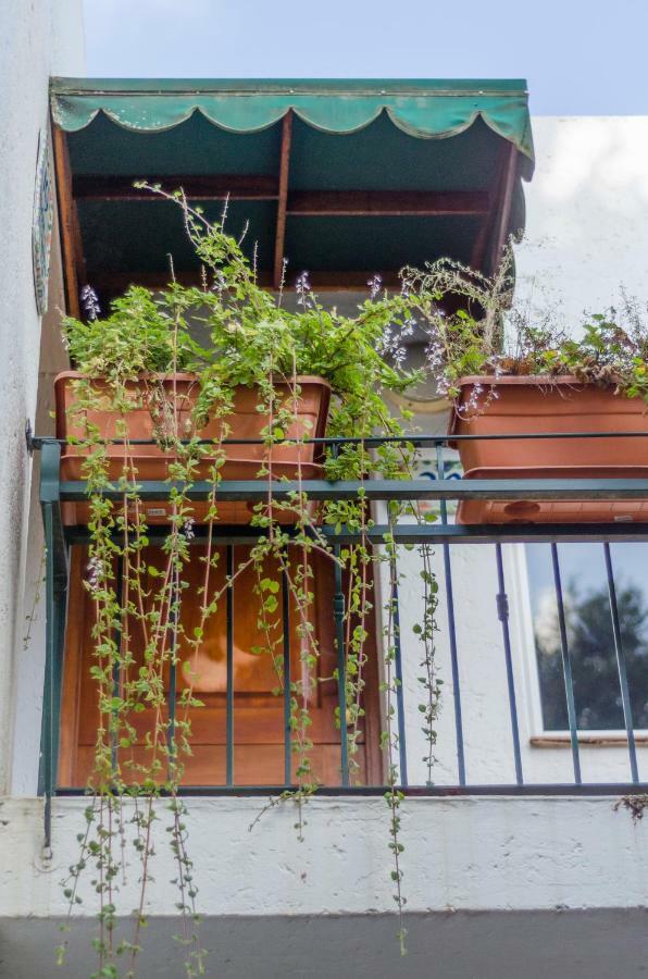 Garden Place Guest Houses Johannesburg Luaran gambar