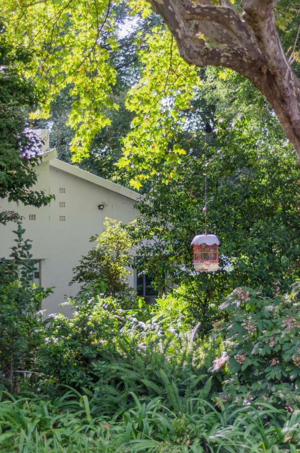 Garden Place Guest Houses Johannesburg Luaran gambar